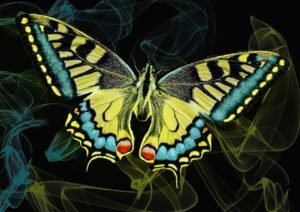 butterfly, neon, glow, light, glowing, effect, black, blue, yellow