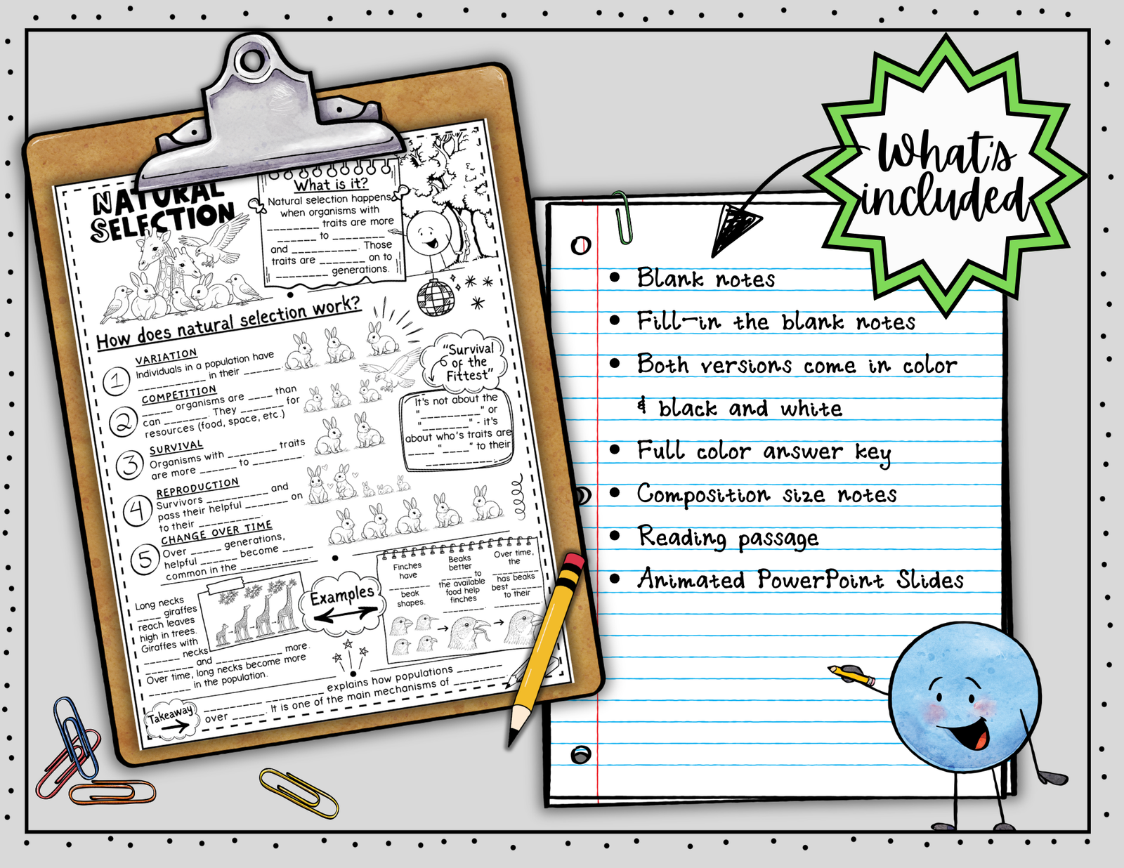Natural Selection Doodle Notes | Natural Selection Visual Notes | Gr. 6-8 — Print - Image 2