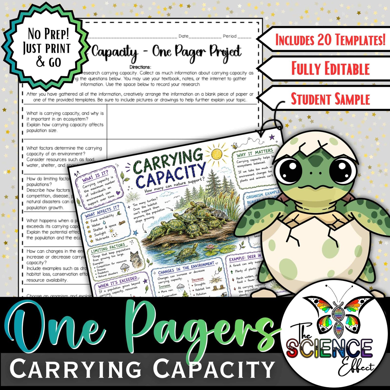 Carrying Capacity One Pager Project | Population Ecology Activity