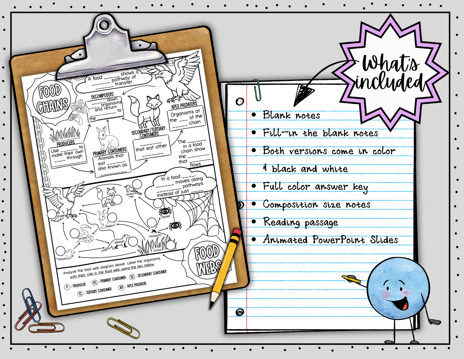 Food Chains and Food Webs Doodle Notes | Science Graphic Organizer | Visual Notes - Image 2