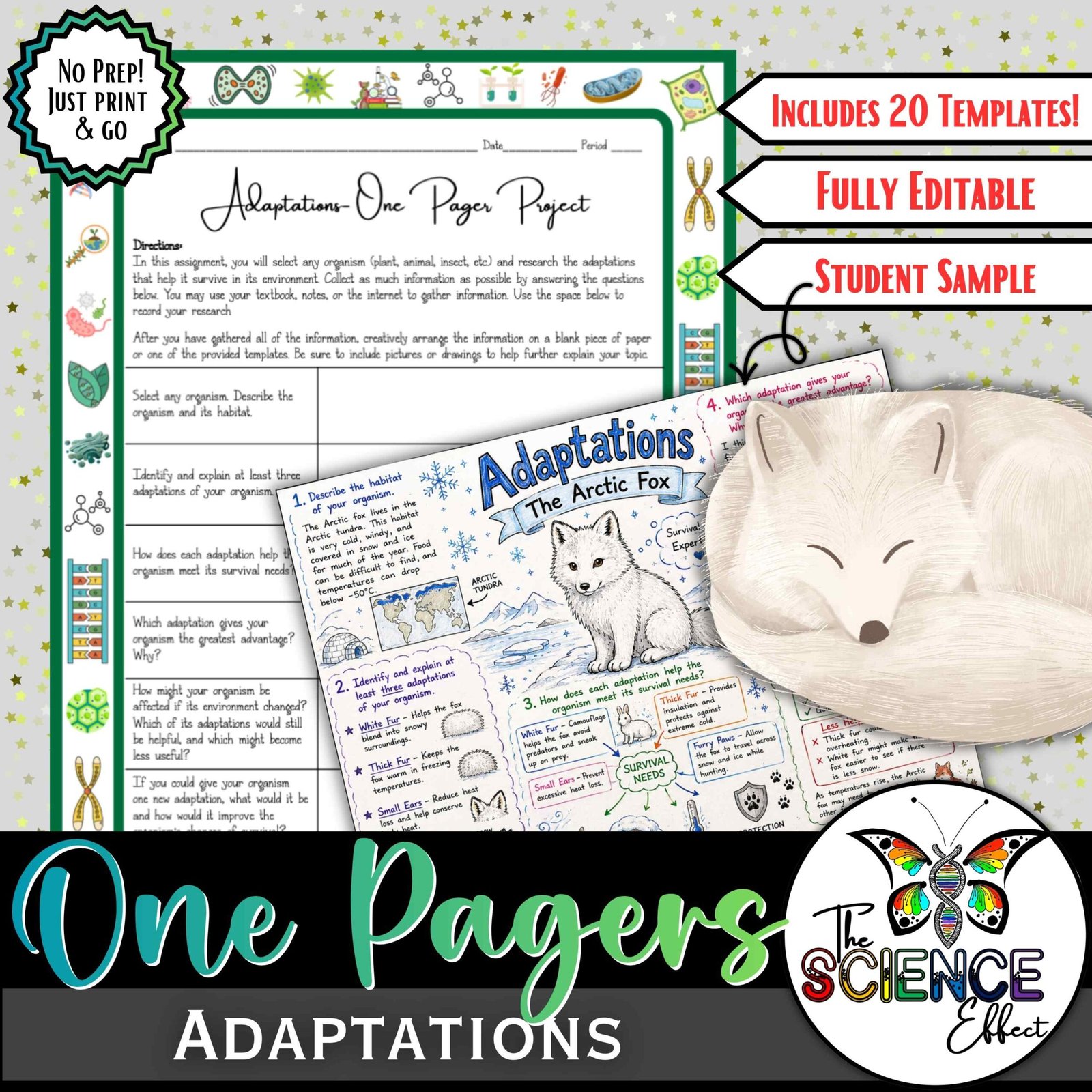 Adaptations One Pager Project | Animal & Plant Adaptations Research Activity
