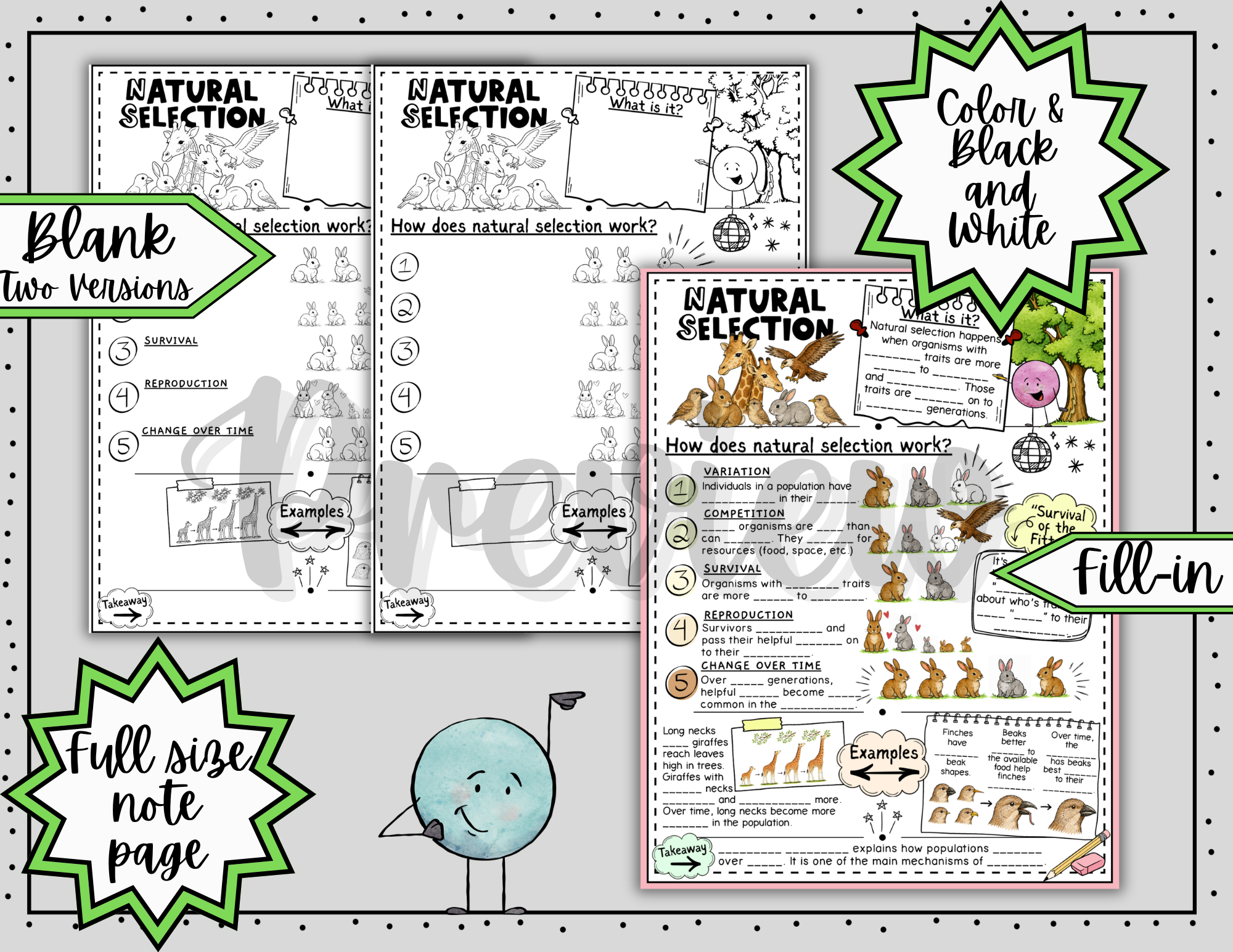 Natural Selection Doodle Notes | Natural Selection Visual Notes | Gr. 6-8 — Print - Image 3