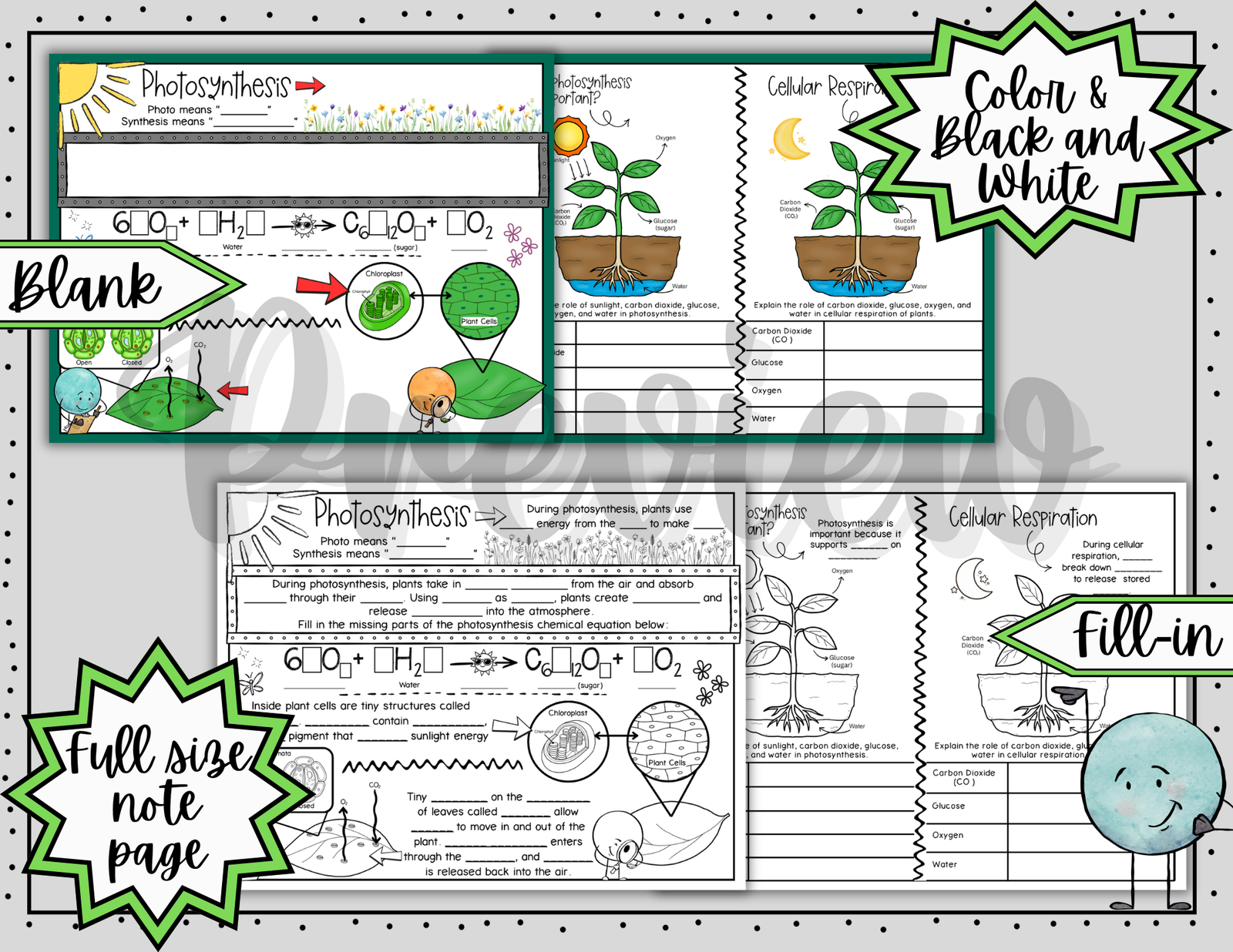 Photosynthesis Doodle Notes | Photosynthesis & Cellular Respiration Notes | 6-8 — Print - Image 3
