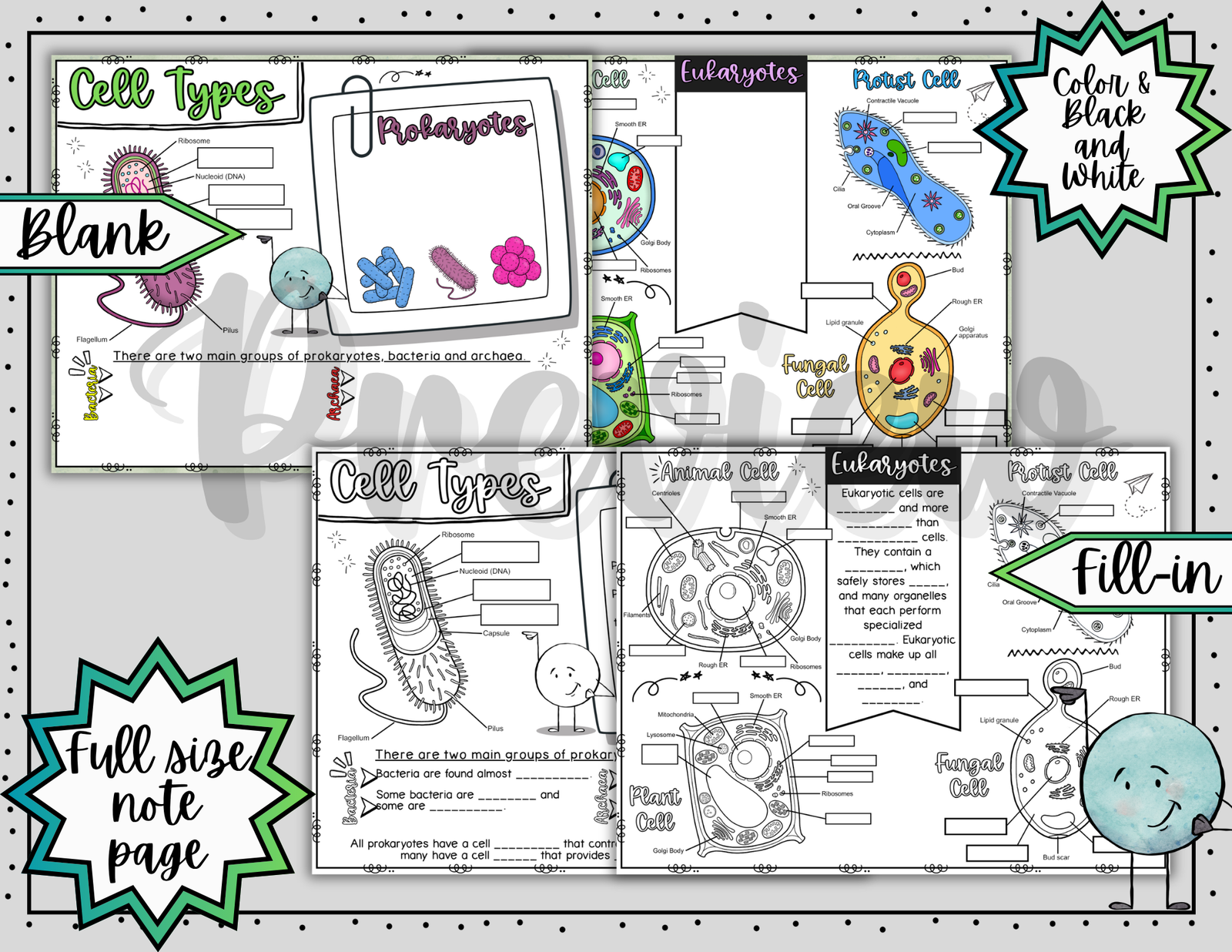 Types of Cells Doodle Notes ~ Science Doodle Notes ~ Visual Notes - Image 3