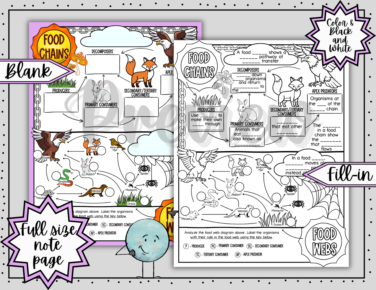 Food Chains and Food Webs Doodle Notes | Science Graphic Organizer | Visual Notes - Image 3