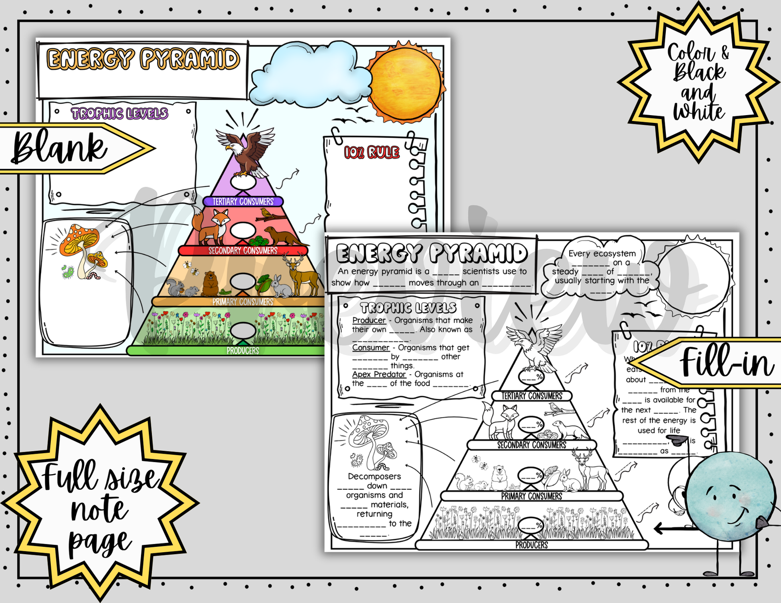 Energy Pyramid Science Doodle Notes | Graphic Organizer | Visual Notes — Print - Image 3