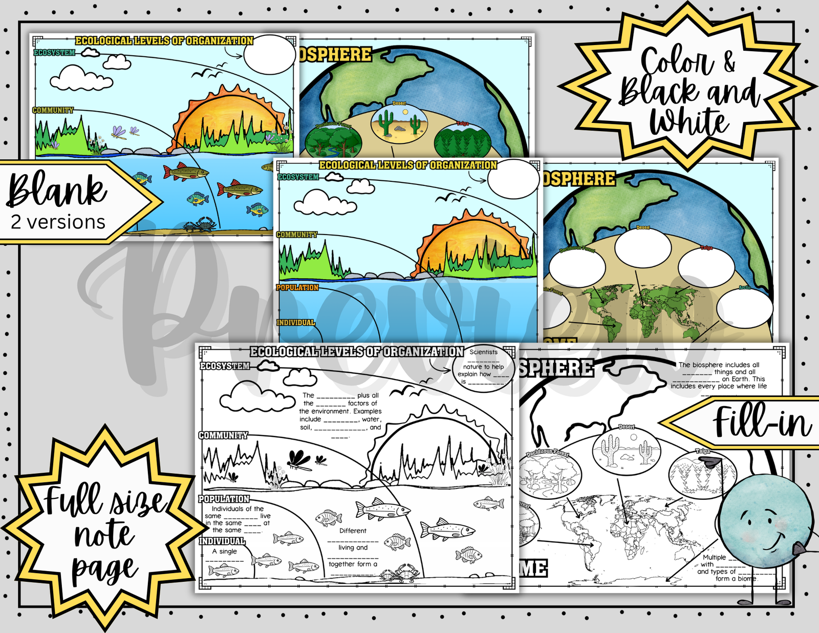 Ecological Levels of Organization Science Doodle Notes | Graphic Organizer — Print - Image 3