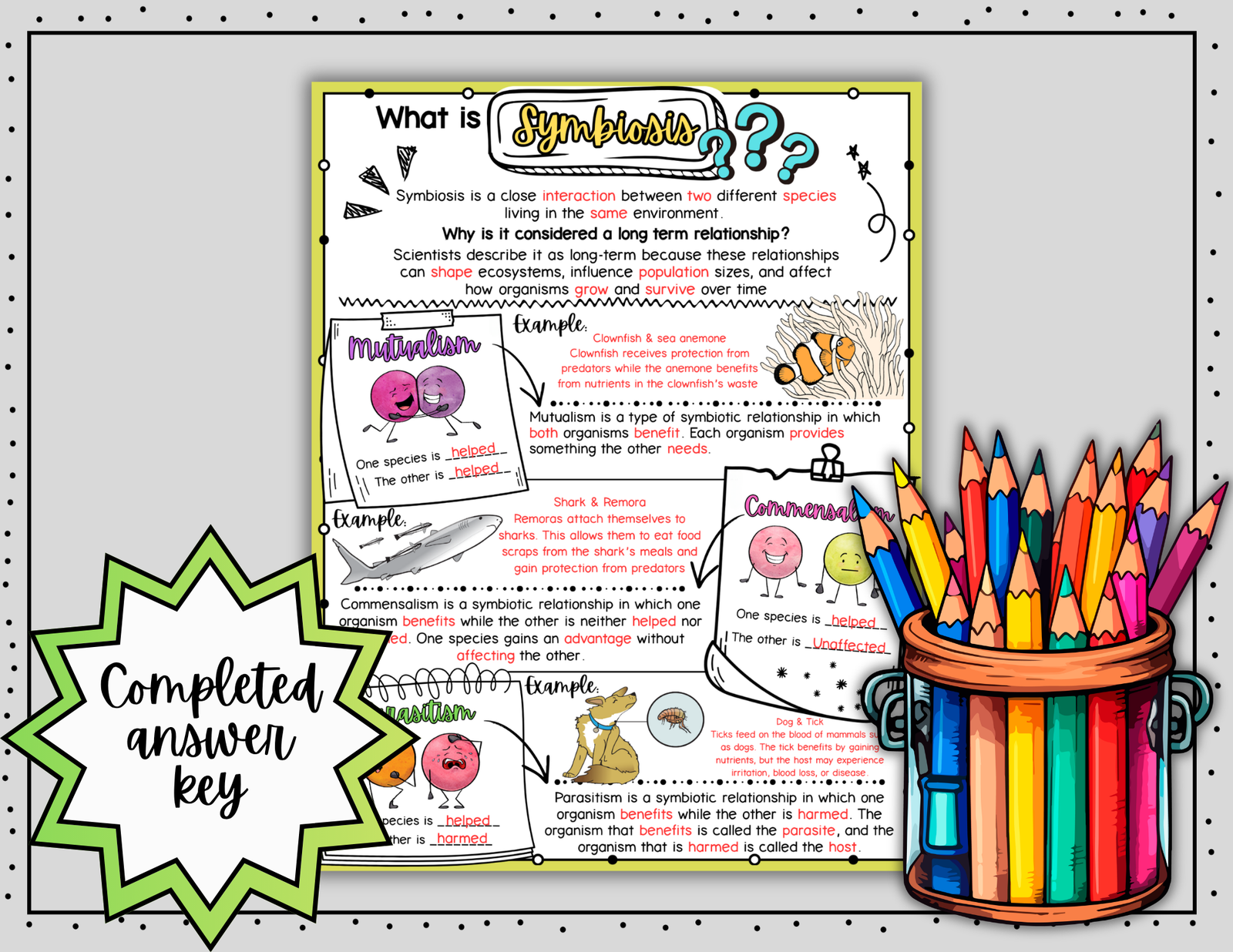 Symbiosis Doodle Notes | Symbiotic Relationships | Science Graphic Organizer — Print - Image 5