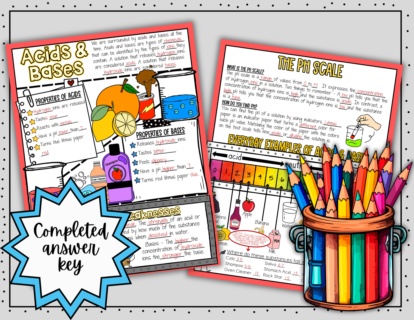 Acids and Bases pH Scale Doodle Notes | Science Doodle Notes | Visual Notes - Image 5