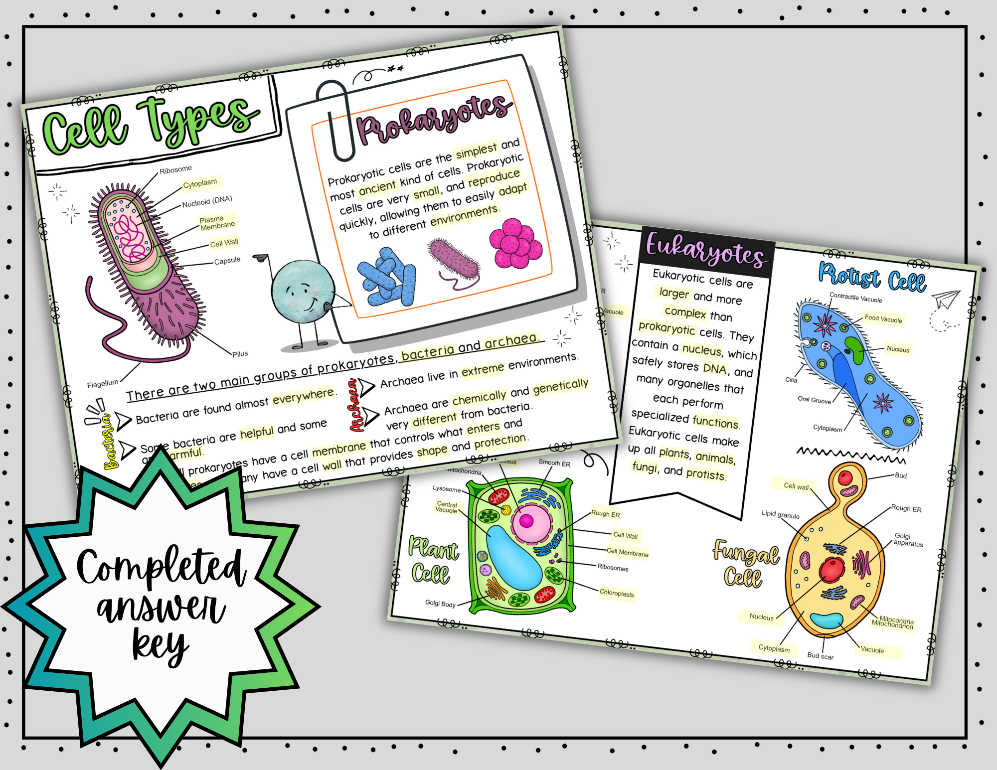 Types of Cells Doodle Notes ~ Science Doodle Notes ~ Visual Notes - Image 5