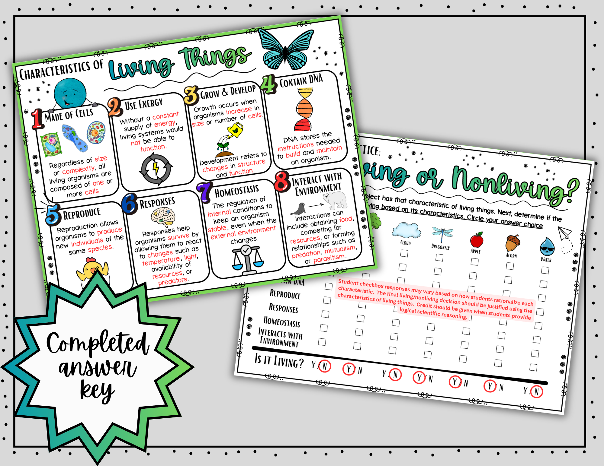 Characteristics of Living Things Science Doodle Notes | Graphic Organizer - Image 6