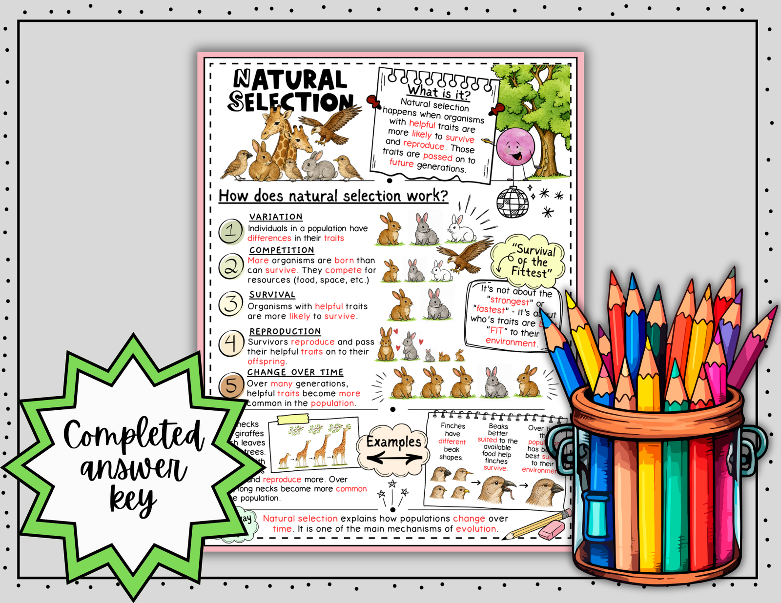 Natural Selection Doodle Notes | Natural Selection Visual Notes | Gr. 6-8 — Print - Image 5