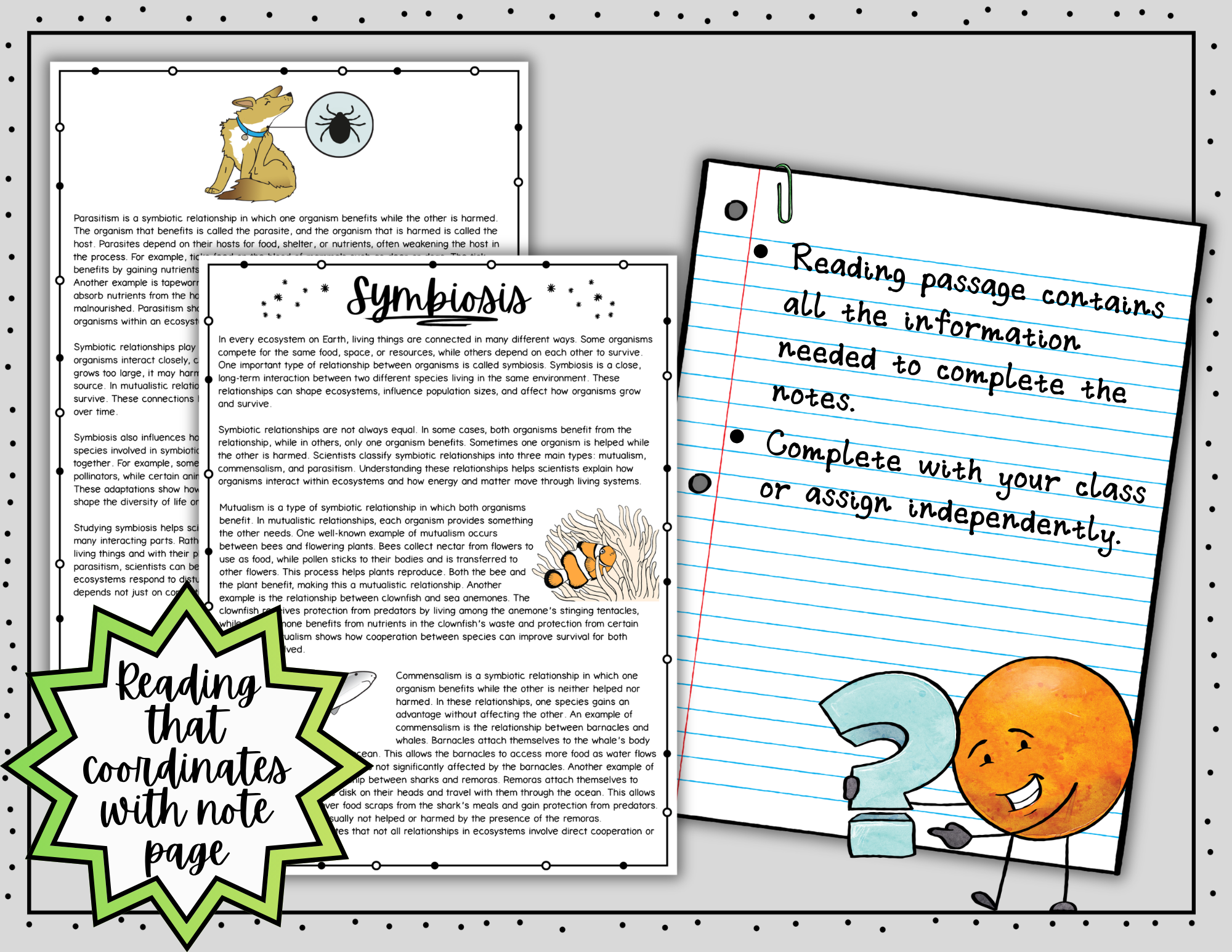 Symbiosis Doodle Notes | Symbiotic Relationships | Science Graphic Organizer — Print - Image 6