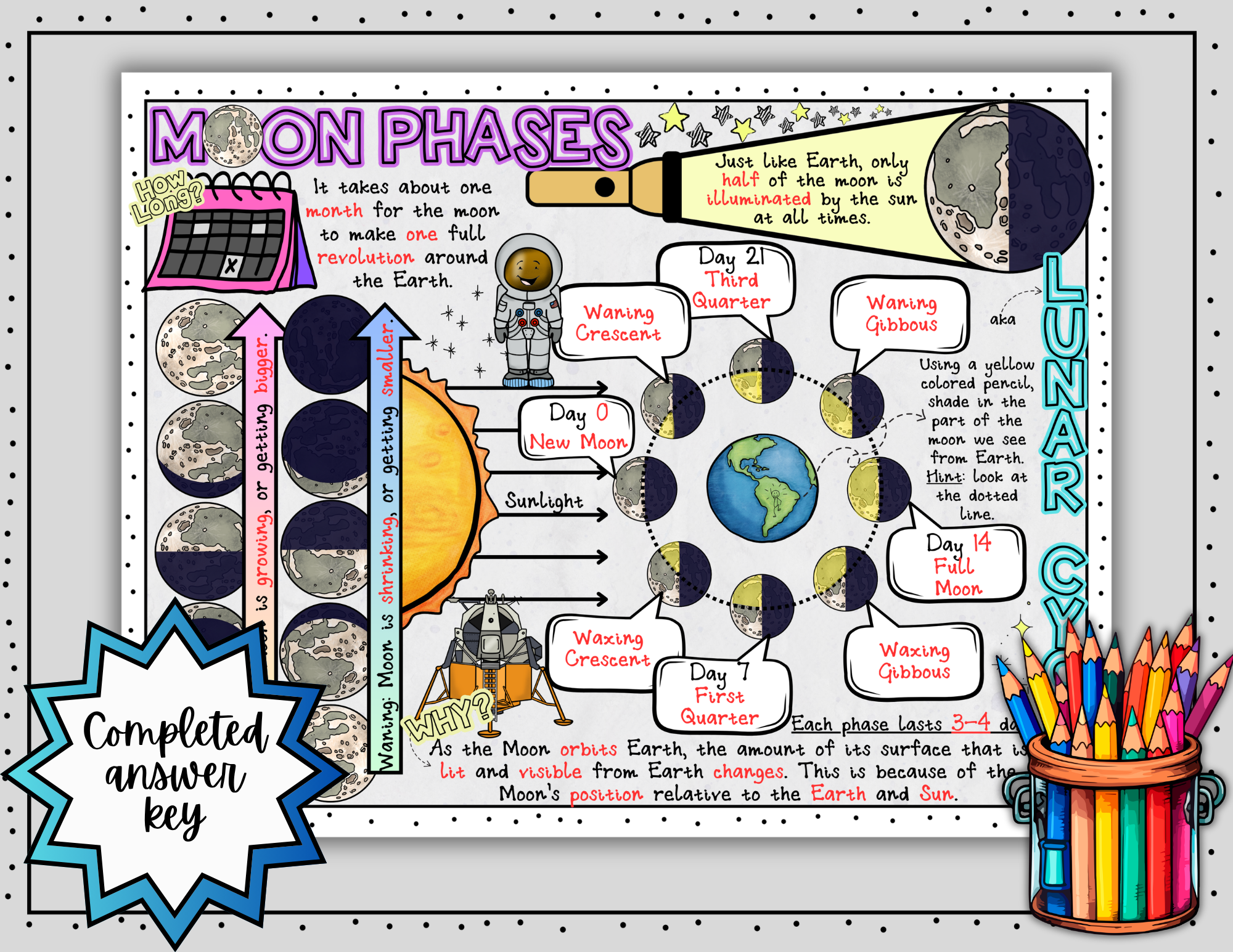 Moon Phases Doodle Notes ~ Lunar Cycle ~ Science Doodle Notes ~ Visual Notes - Image 6