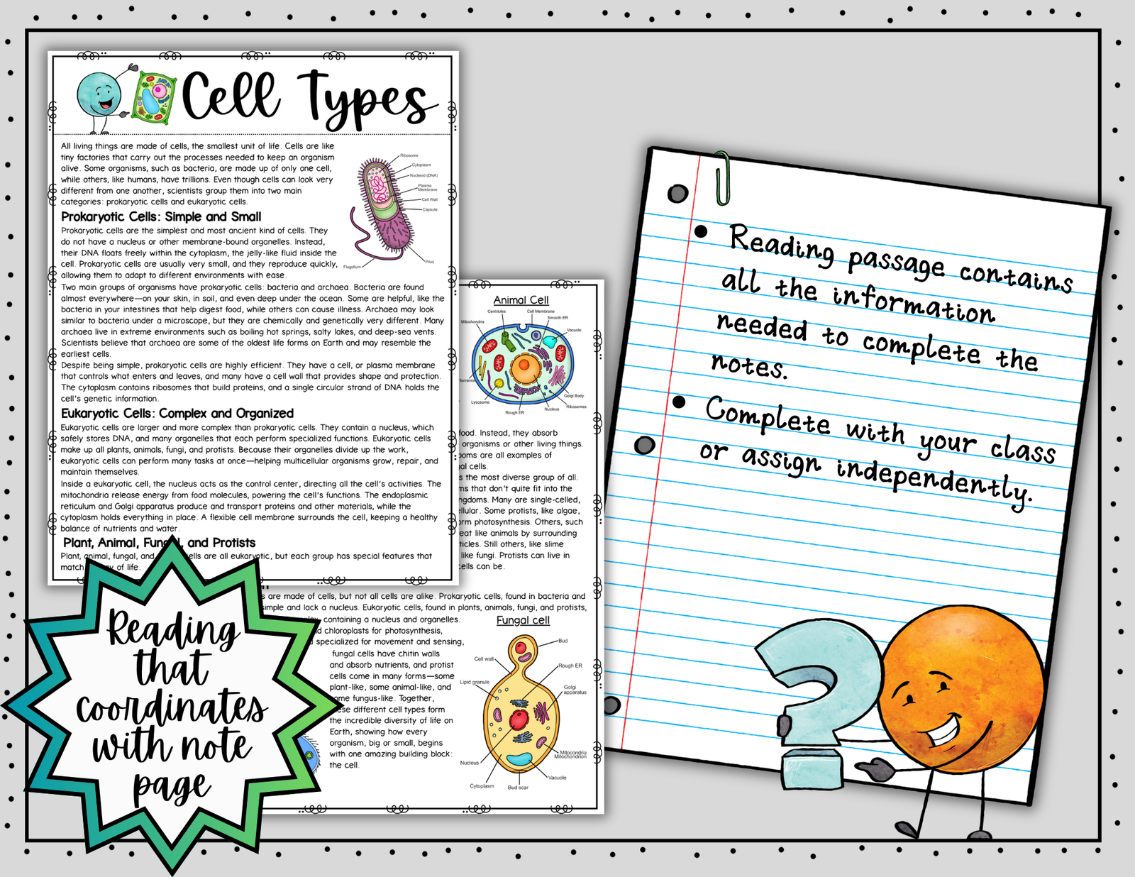 Types of Cells Doodle Notes ~ Science Doodle Notes ~ Visual Notes - Image 6
