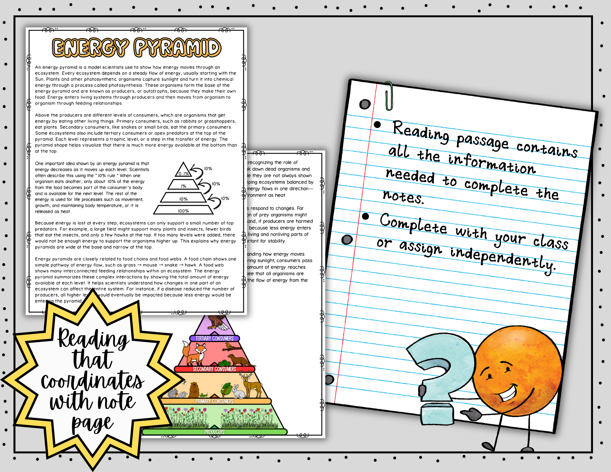 Energy Pyramid Science Doodle Notes | Graphic Organizer | Visual Notes — Print - Image 6