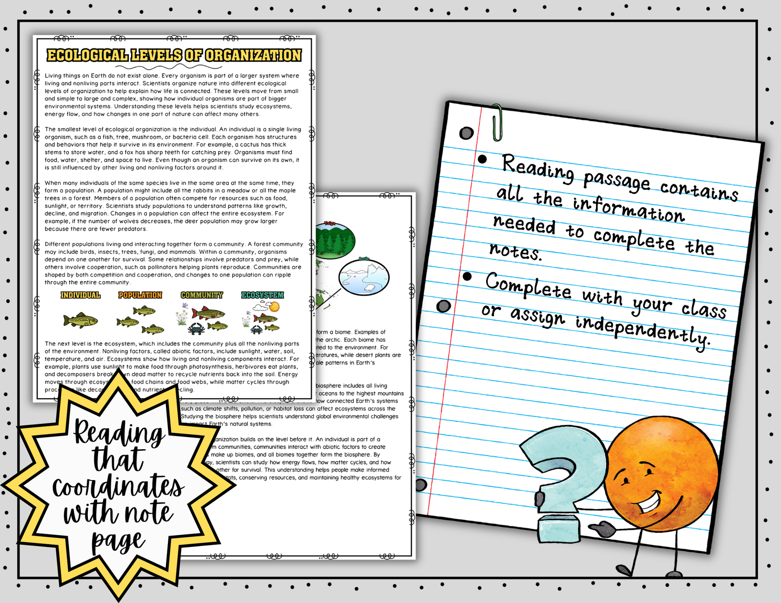 Ecological Levels of Organization Science Doodle Notes | Graphic Organizer — Print - Image 6