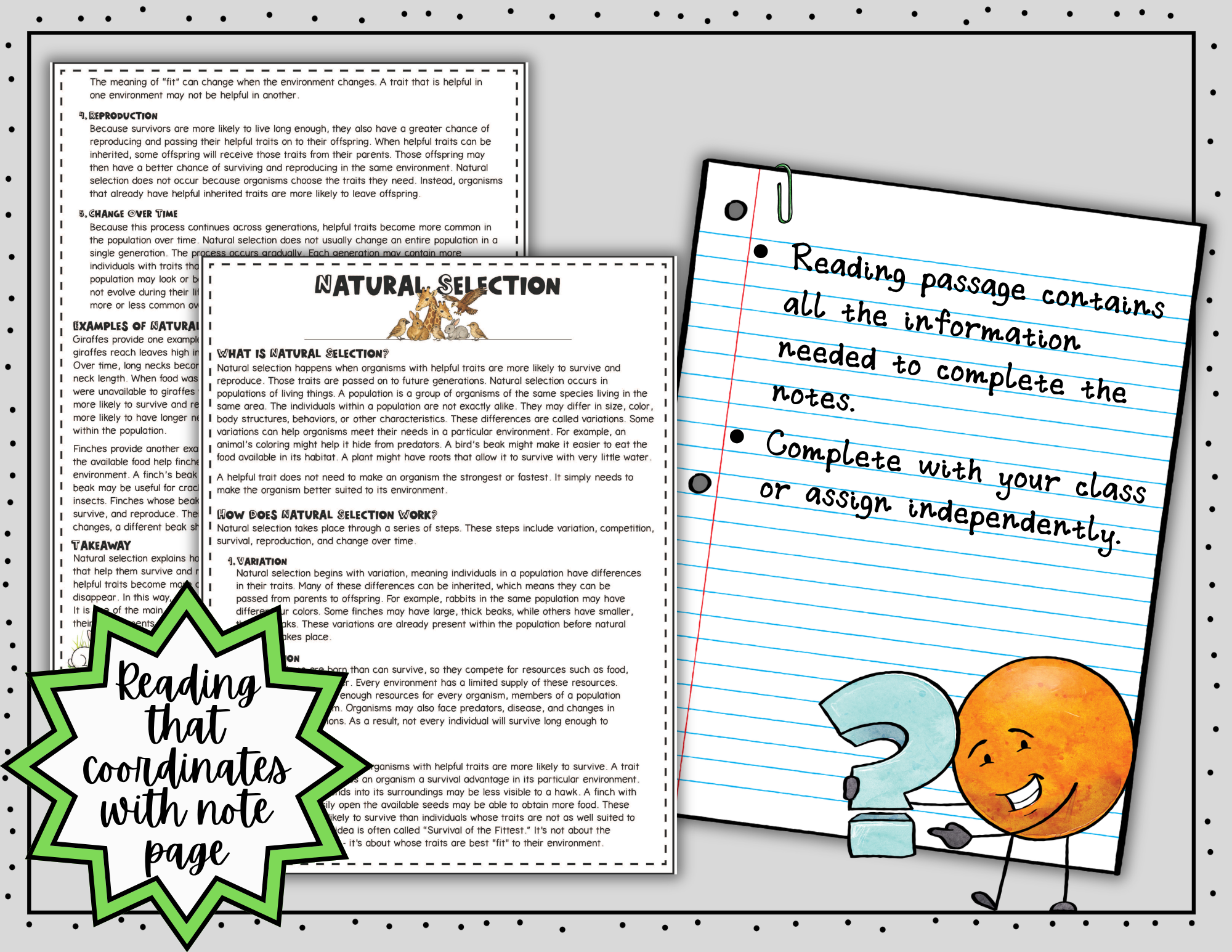 Natural Selection Doodle Notes | Natural Selection Visual Notes | Gr. 6-8 — Print - Image 6