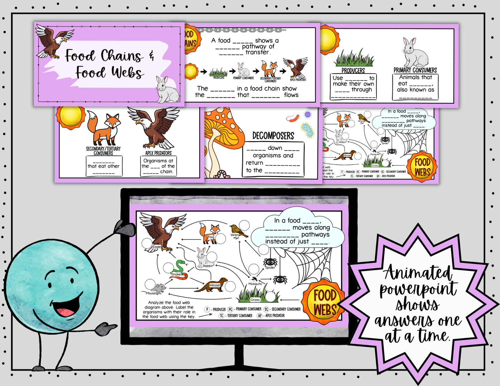 Food Chains and Food Webs Doodle Notes | Science Graphic Organizer | Visual Notes - Image 7