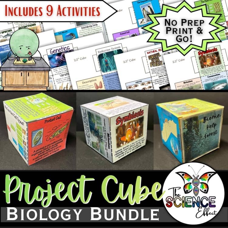 Biology 3D Research Project Cubes Growing Bundle | Life Science STEM Activities