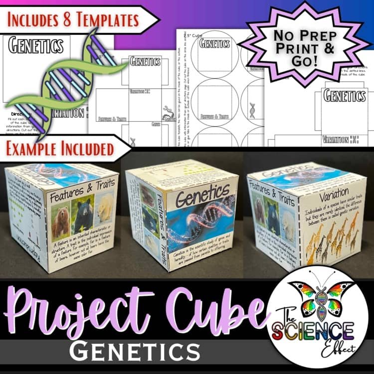 Genetics 3D Research Project Cube | Life Science & Biology Activity