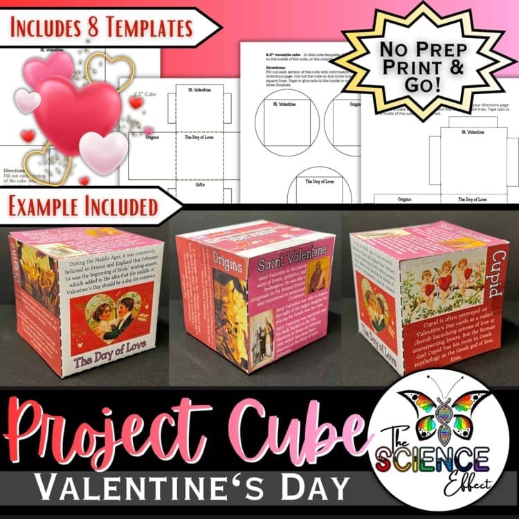 Valentine’s Day 3D Research Project Cube | Social Studies Research Activity