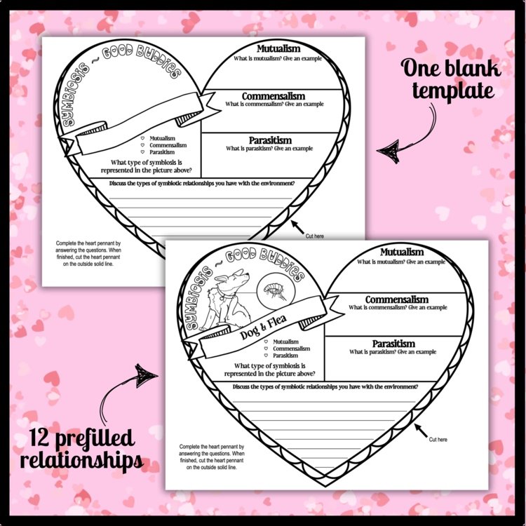 Valentine's Day Science Activity | Symbiosis Research Pennant
