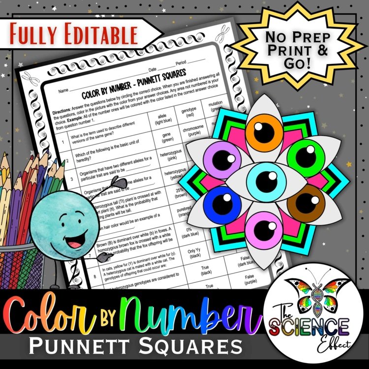 Punnett Squares Science Color-By-Number Worksheet | Genetics No-Prep Activity