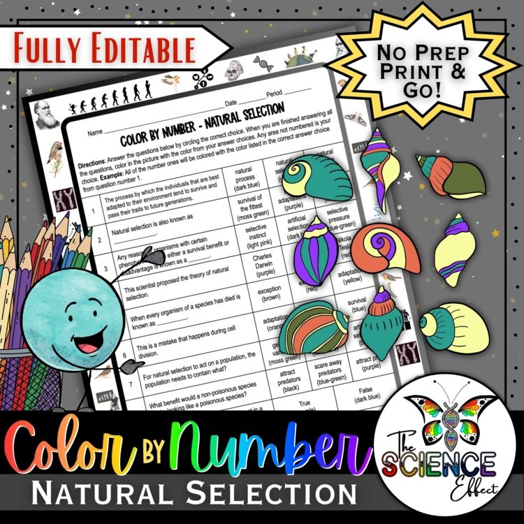 Natural Selection Science Color-By-Number Worksheet | Evolution No-Prep Activity