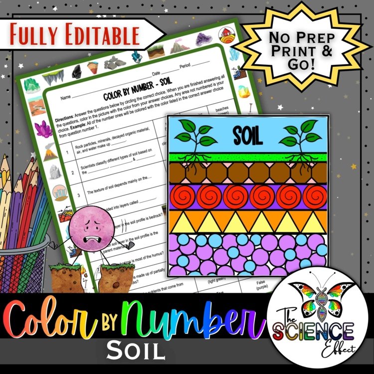 Soil Science Color-By-Number Worksheet | Earth Science Activity