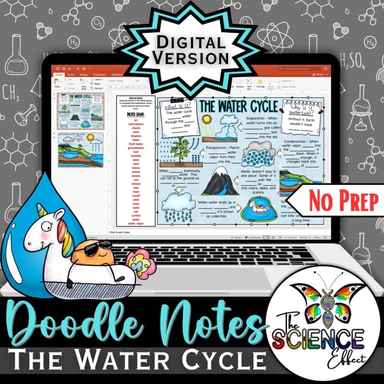 Digital Doodle Notes ~ The Water Cycle ~ Hydrologic Cycle ~ Science Doodle Notes
