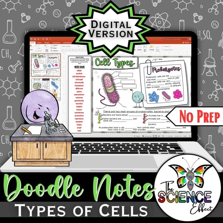 Digital Doodle Notes ~ Types of Cells Doodle Notes ~ Science Graphic Organizer