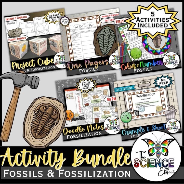 Fossilization Activity Bundle 30% OFF! | No-Prep Earth Science Activities