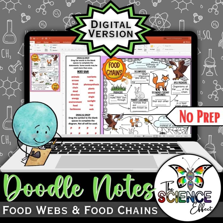 Food Webs & Food Chains Science Digital Doodle Notes | Visual Notes