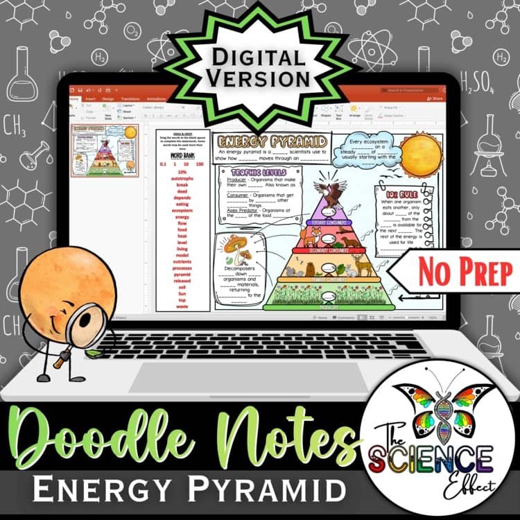 Energy Pyramid Science Digital Doodle Notes | Graphic Organizer | Visual Notes