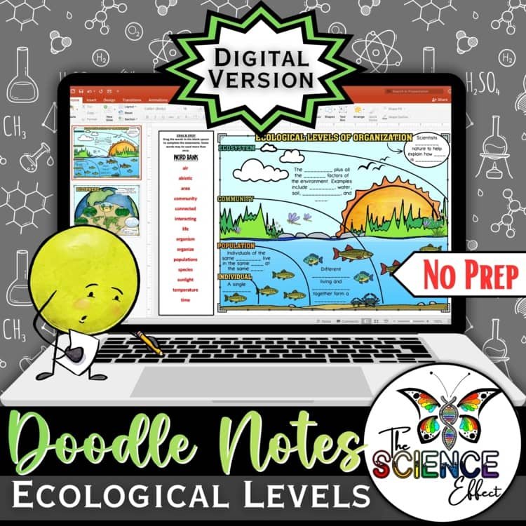 Ecological Levels of Organization Science Digital Doodle Notes | Visual Notes