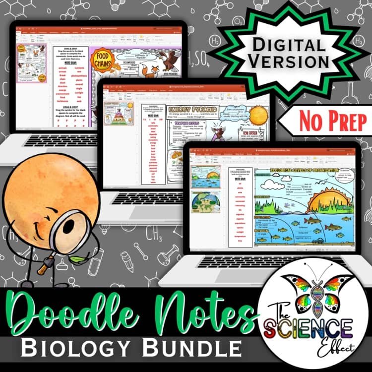 Biology Bundle | Science Digital Doodle Notes | Graphic Organizer Notes