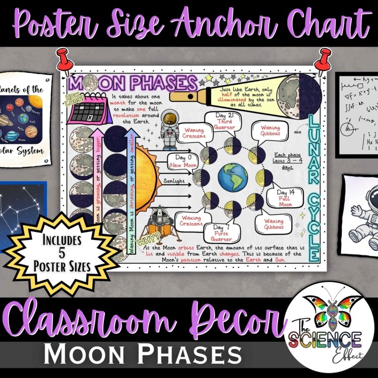 Moon Phases Anchor Chart | Lunar Cycle Poster | Earth Science Classroom Decor