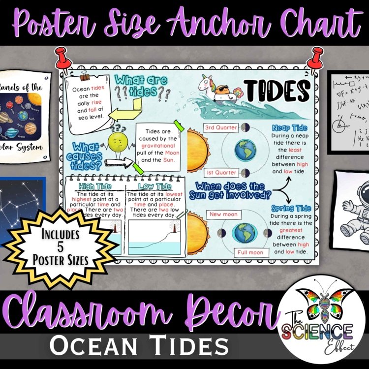 Ocean Tides Anchor Chart | Earth Science Classroom Decor | Middle School Science