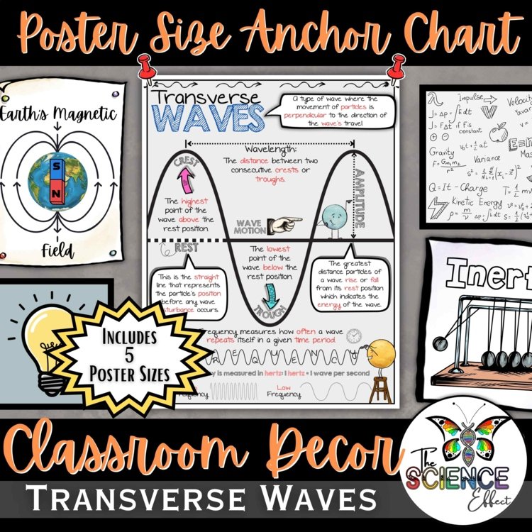 Transverse Waves Anchor Chart Poster | Science Classroom Decor