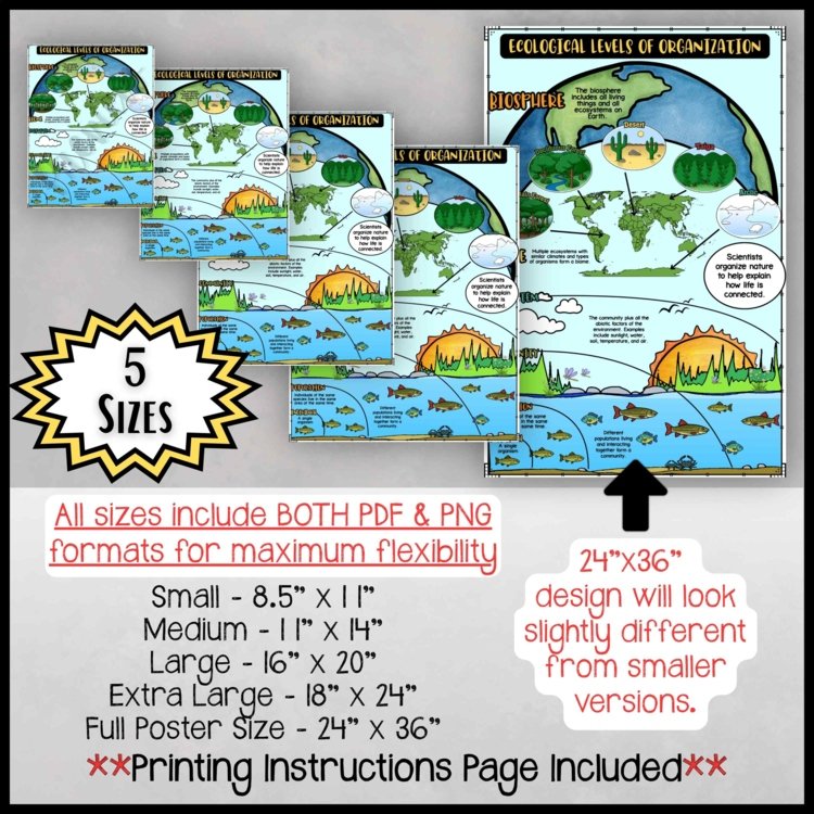 Ecological Levels of Organization Anchor Chart | Ecosystem Poster Decor - preview 2