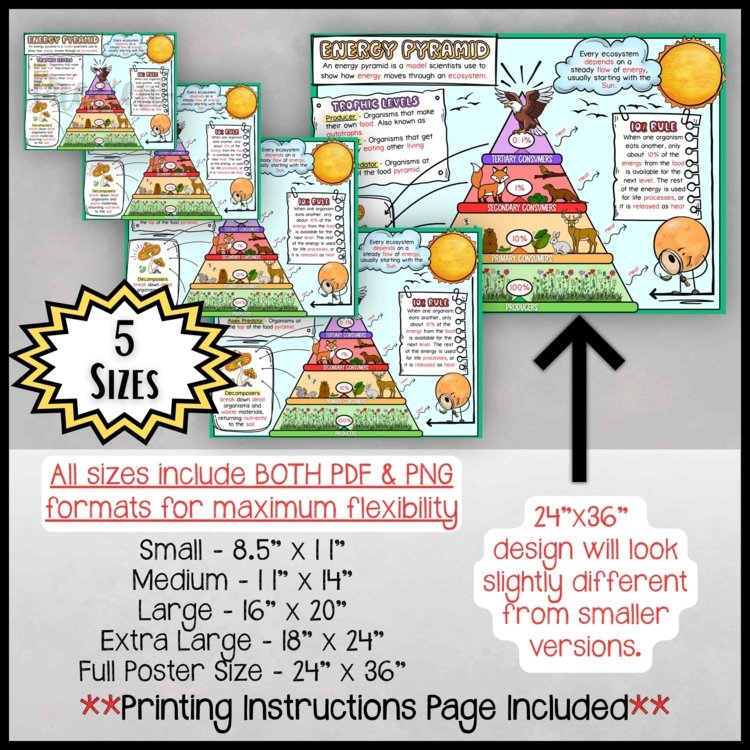 Energy Pyramid Anchor Chart | Trophic Level Poster | Ecosystem Energy Flow Decor - preview 2