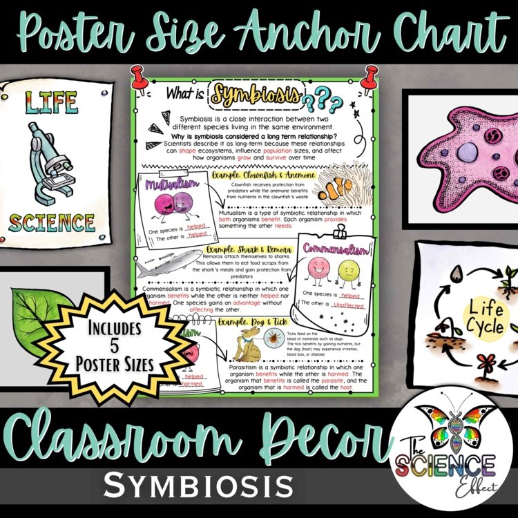 Symbiosis Anchor Chart | Mutualism Commensalism Parasitism Poster
