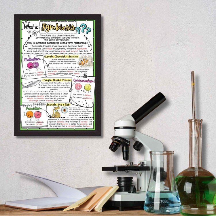 Symbiosis Anchor Chart | Mutualism Commensalism Parasitism Poster - preview 1