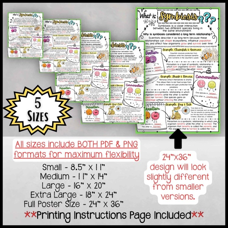 Symbiosis Anchor Chart | Mutualism Commensalism Parasitism Poster - preview 2