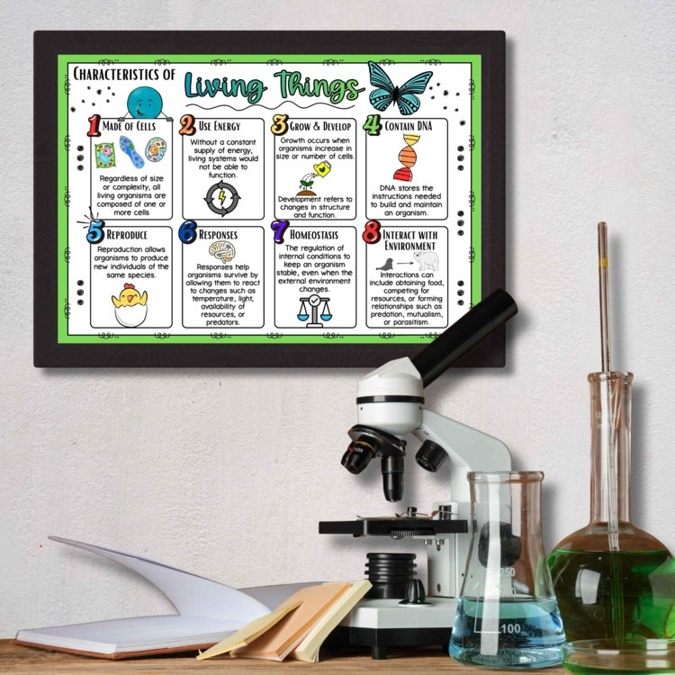 Characteristics of Living Things Anchor Chart | 8 Life Processes Poster Gr 5 - 8 - preview 1