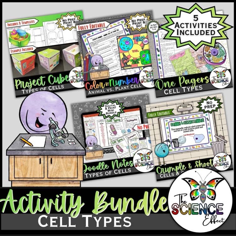 Cell Types Science Activity Bundle | Plant Animal Cells | Middle School Biology