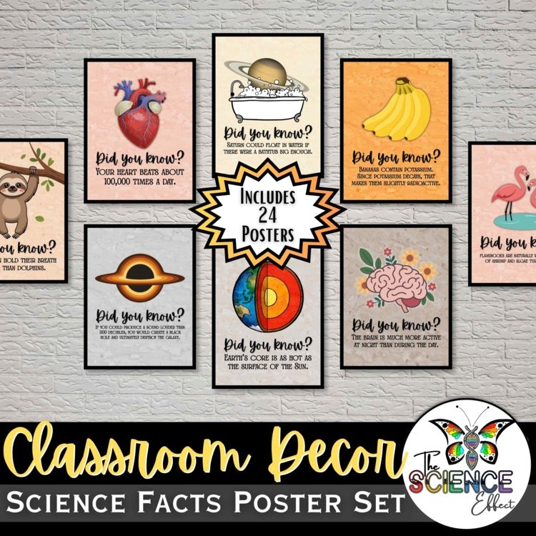 Did You Know Science Posters | 24 Science Fact Posters | Classroom Decor