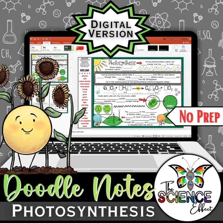 Photosynthesis Digital Doodle Notes | Photosynthesis Cellular Respiration Notes