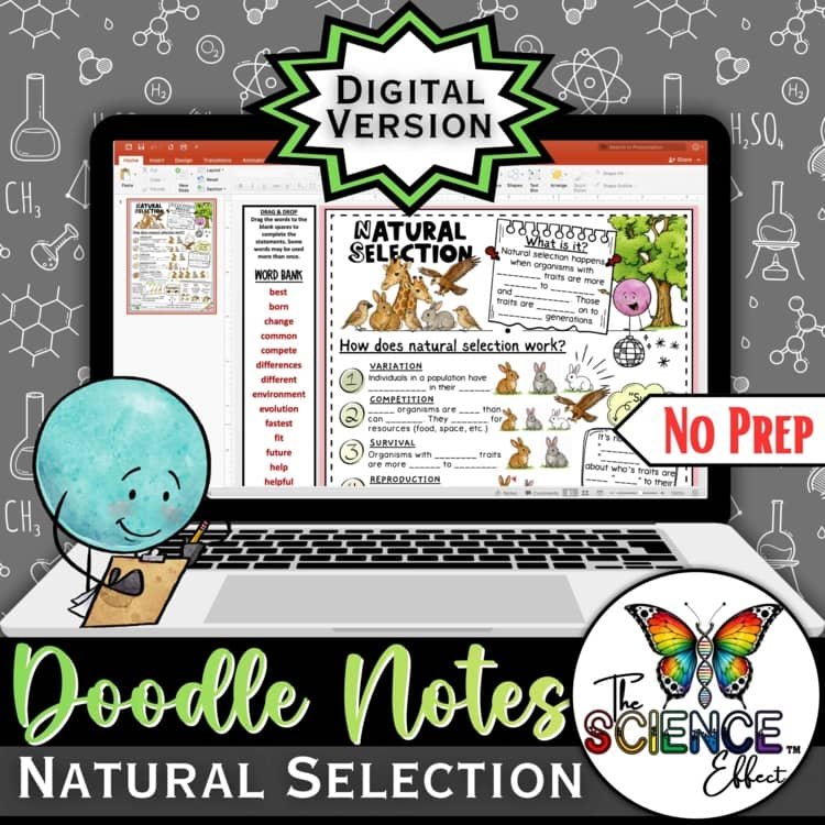 Natural Selection Digital Doodle Notes | Natural Selection Visual Notes